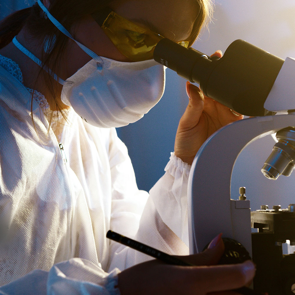 A scientist looks into a microscope