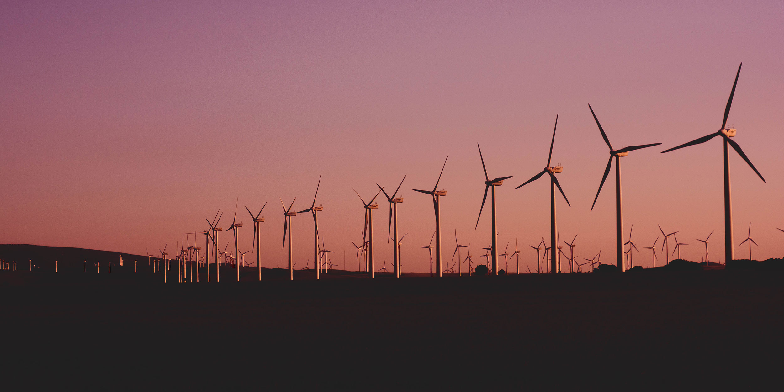 Windmills harvest renewable energy