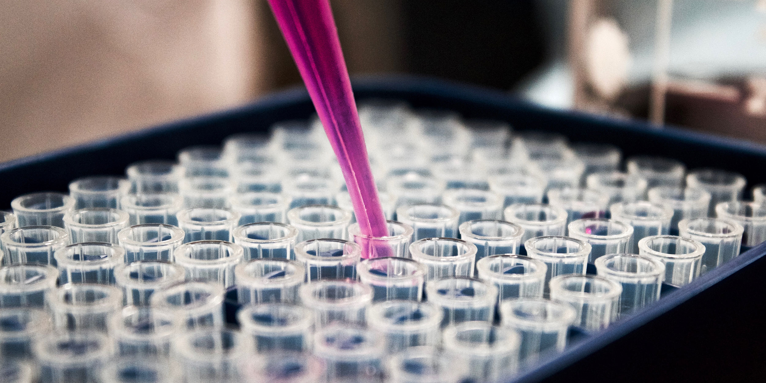 A scientists conducts research with a pipette full of purple liquid in small glass vials