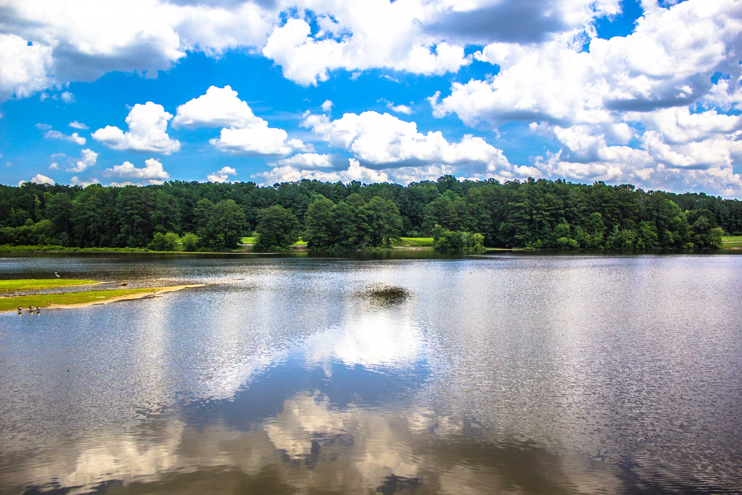 View of Shelley lake on sunny day