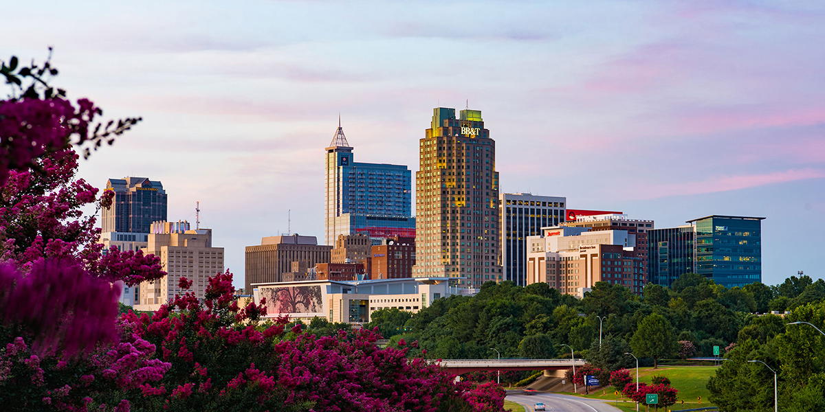 Senior Process Automation System Engineer - Work In The Triangle